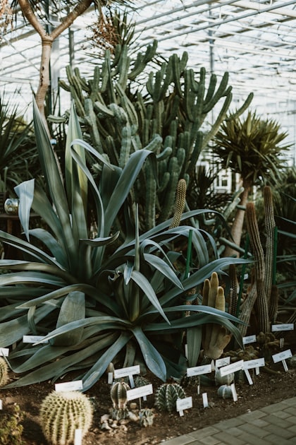 Sustainable Gardening Practices